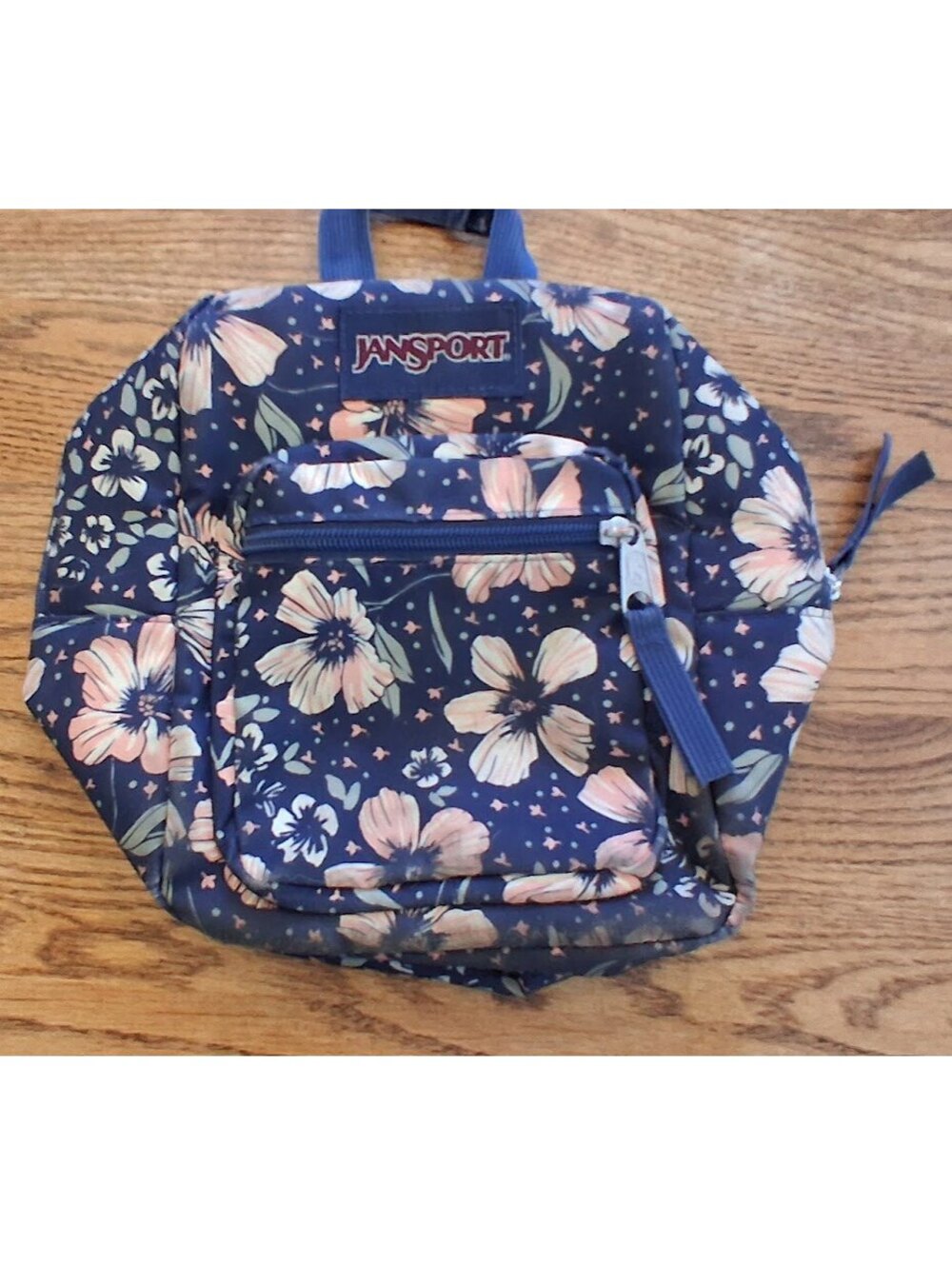 JanSport Big Break Insulated Lunch Bag, Fields Of Paradise
